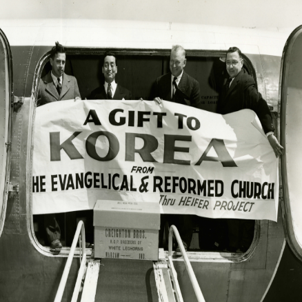 삼수령 목장 착유