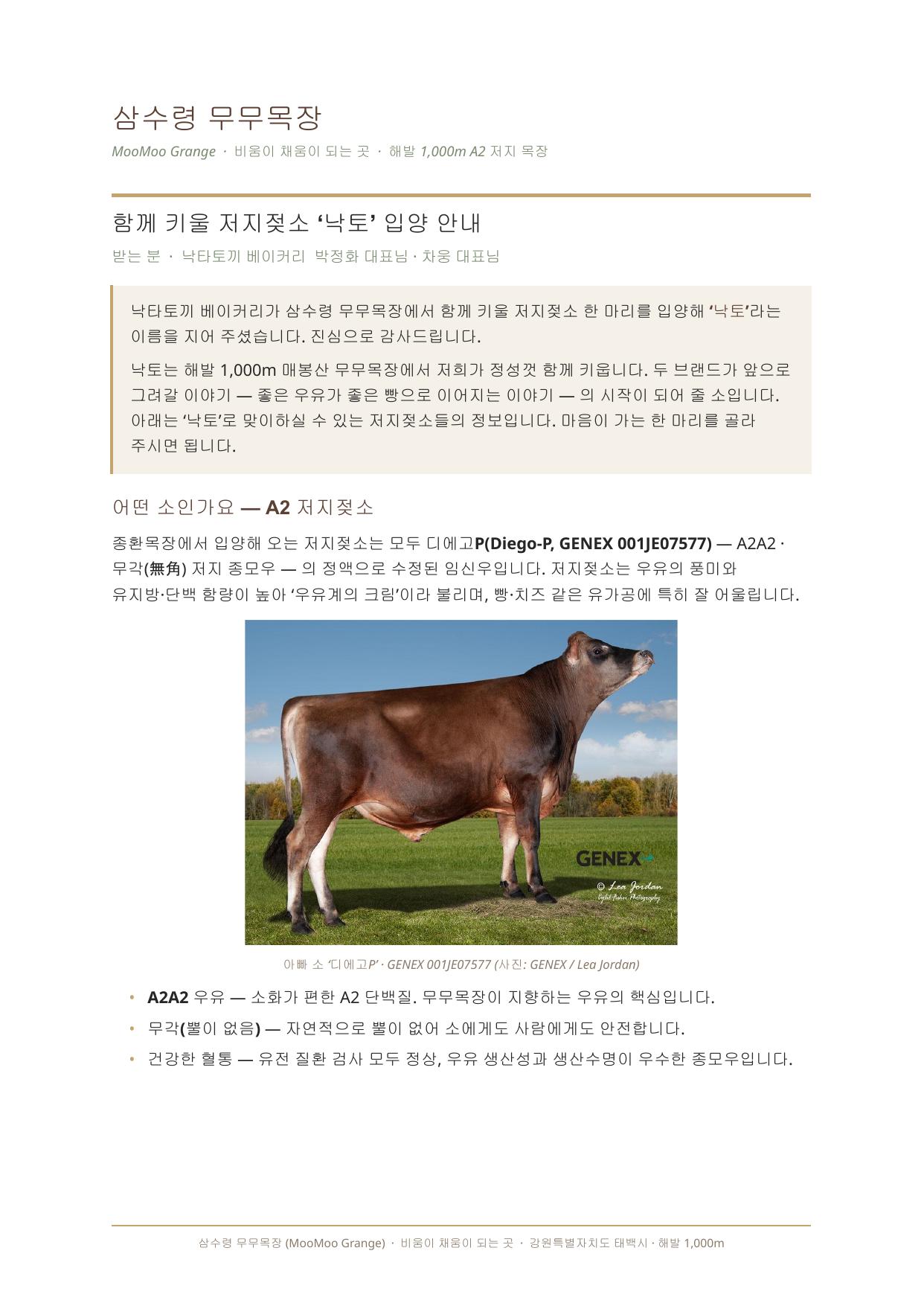 낙타토끼베이커리 낙토