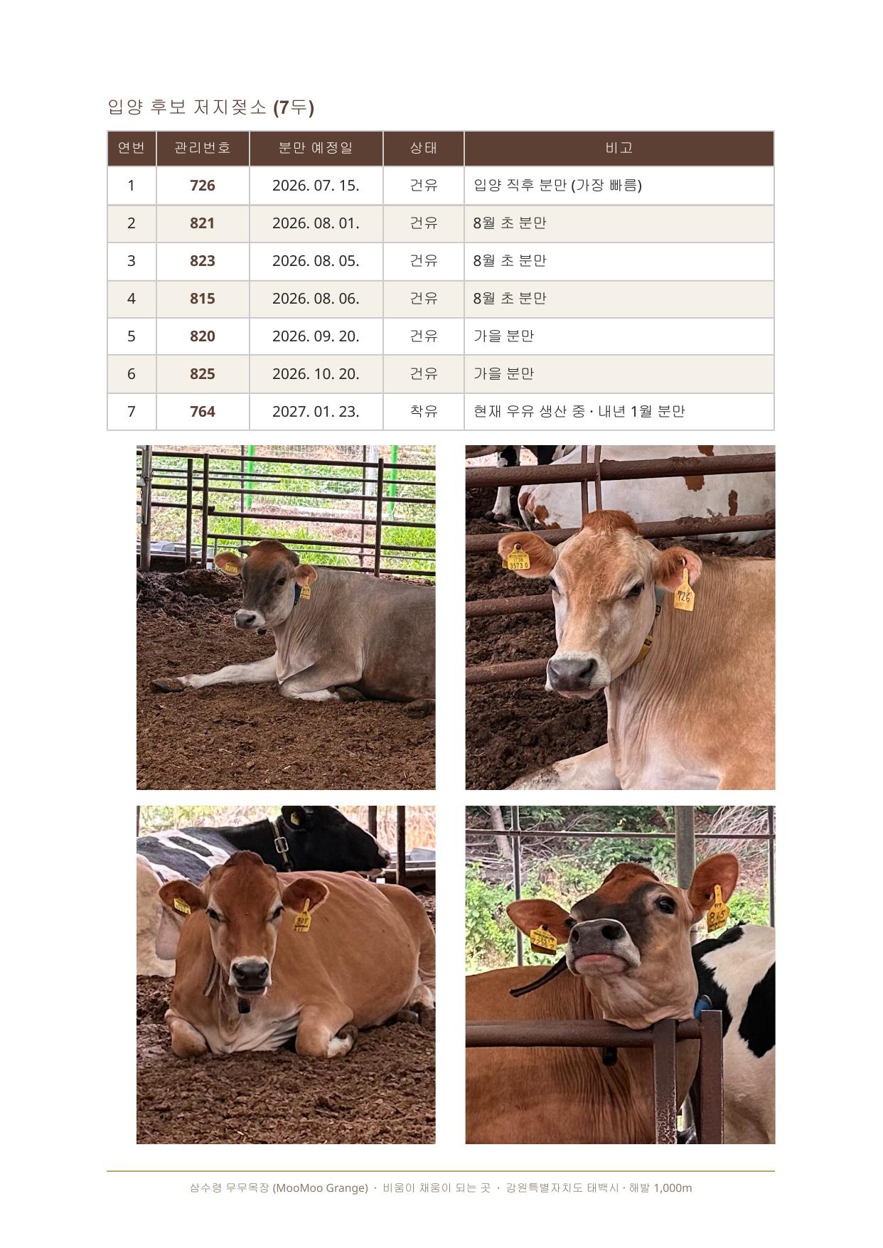 낙타토끼베이커리 작업