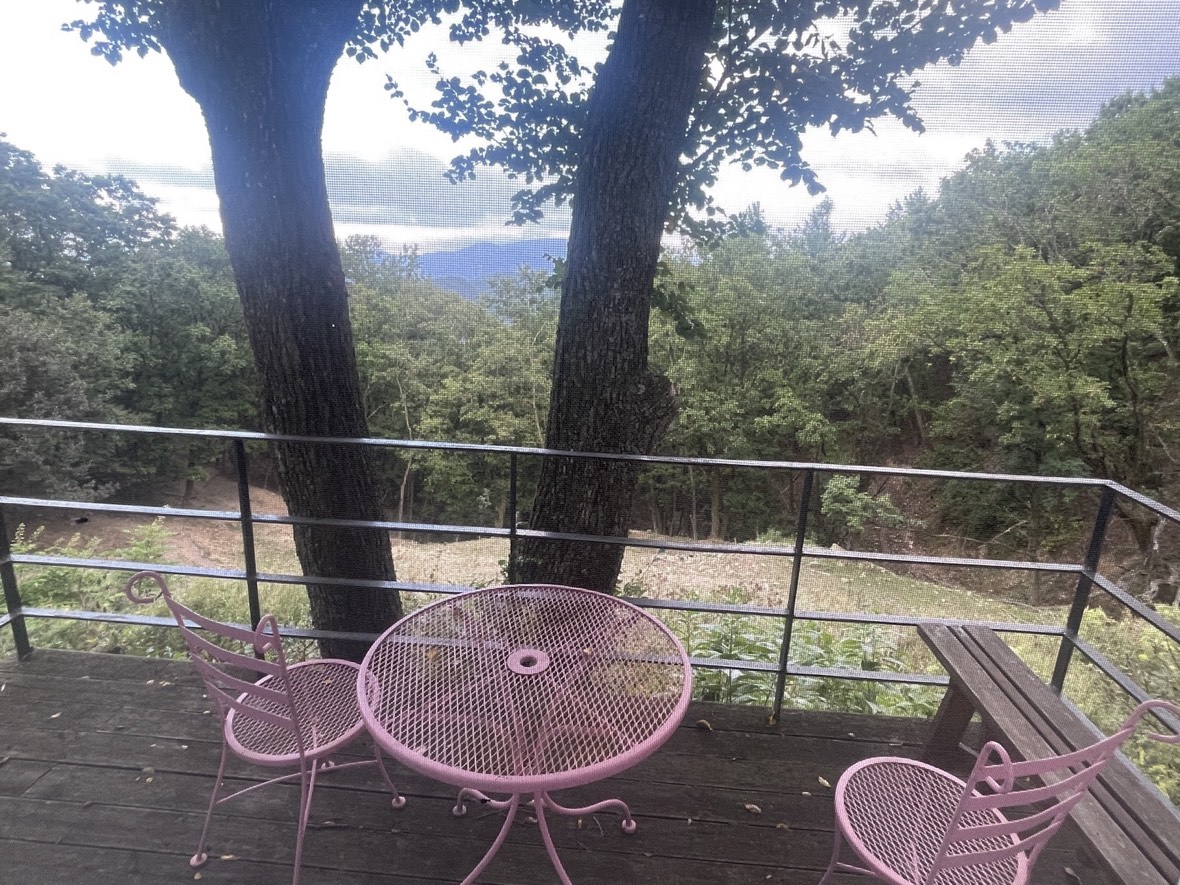 나무 사이로 산이 보이는 데크